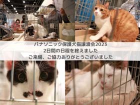 「パナソニック保護犬猫譲渡会２０２３」が終了　ご来場、ご協力ありがとうございました