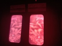  「1999展－存在しないあの日の記憶－」で上映されている「電車の窓のようなモニュメントから見える真っ赤な空」の映像