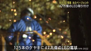 ＳＥＮＤＡＩ光のページェント　ＬＥＤ電球取付作業進む　１２月９日開幕