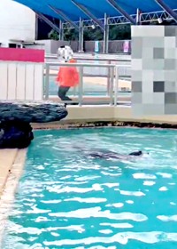 スタッフさんの姿を見つけて逃げるコエルちゃん（画像提供：Suunoさん）