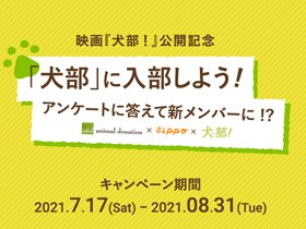 映画「犬部！」を見た感想をSNSに投稿しよう　８月末まで実施中