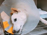 入院中の様子