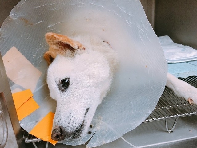 入院中の様子
