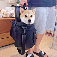 カバンの中にすっぽり！ 笑みを浮かべるころっけくん（画像提供：Threads／@north_017さん）