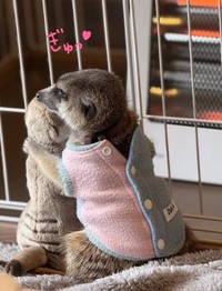 ストーブの前で、お友達（ぬいぐるみ）にぎゅっ♡（提供：＠manaminnyさん）
