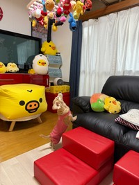 「能面みたいな顔をしていた」お姉ちゃんワンコは、オモチャが室内に取り込まれるとイキイキしていたのだそう（画像提供：ほんわか姉妹さん）