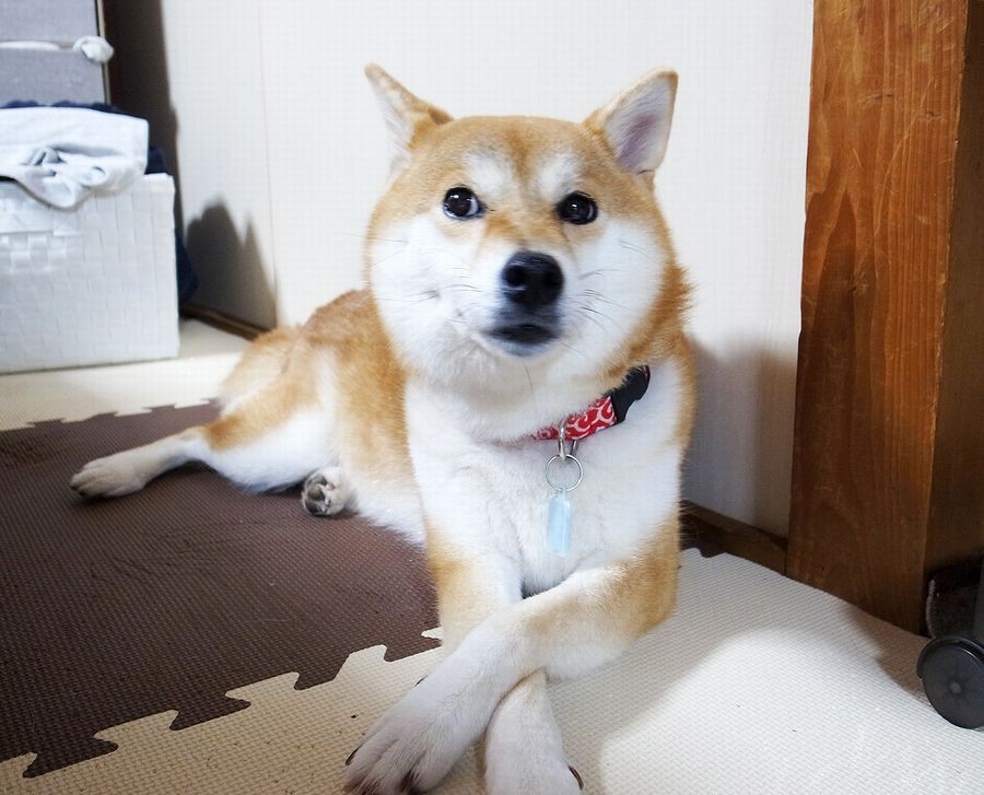 「幸せ」って、顔に書いてあるでしょ