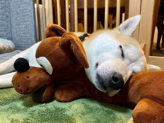 忠相（ただすけ）
