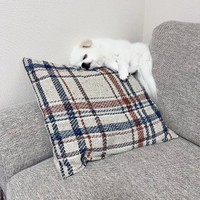 バランス感覚抜群！ クッション上ですやすや眠るましゅくん（画像提供：アザラシいぬさん）