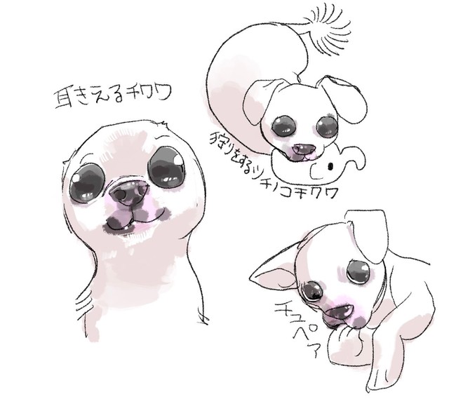 管狐さんが描いた空ちゃん（提供：管狐さん）