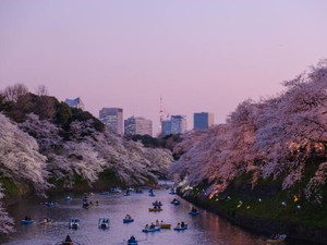 彼のイメージからかけ離れた脇毛。彼の好意は私の「不可能」になった