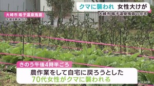 「ズボンもシャツも血まみれ」自宅の庭で女性がクマに襲われ大けが　宮城・大崎市　