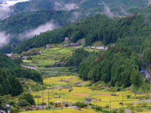 山林の相続とは　手続き、登記、相続税、いらない場合の対処法を解説