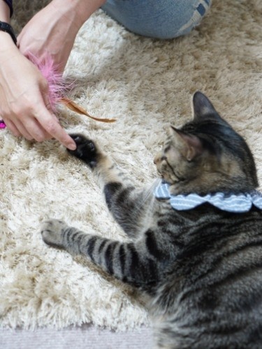 また来てね、おやつ忘れないでね