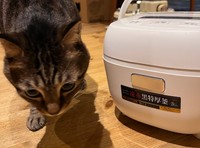 記事化に際して急遽まろくんとの2ショットで撮影していただいた、タイガーのダンボール箱に入っていた「炊飯器」。もちろん普段は床置きされてませんのでご心配なく！（画像提供：宗方脩さん）