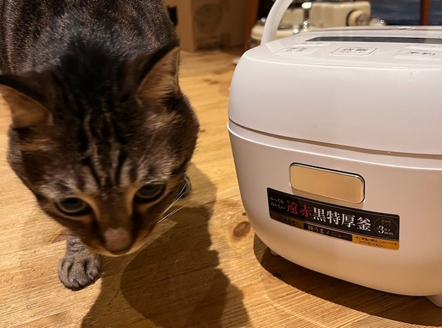 記事化に際して急遽まろくんとの2ショットで撮影していただいた、タイガーのダンボール箱に入っていた「炊飯器」。もちろん普段は床置きされてませんのでご心配なく！（画像提供：宗方脩さん）