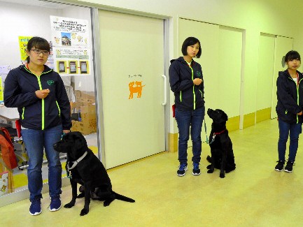 育成のむずかしい介助犬　女性３人が奮闘中！「障害者に笑顔を」