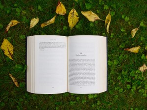 世界史苦手でも楽しんだシェイクスピア。食べず嫌いの本で知った世界