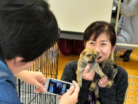 不運な犬猫、新たな飼い主へ　保護団体を表彰