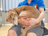 ちょっと頭が気になったけど、お父さんなら安心＝あさぎさん（@___a_y_r_）提供