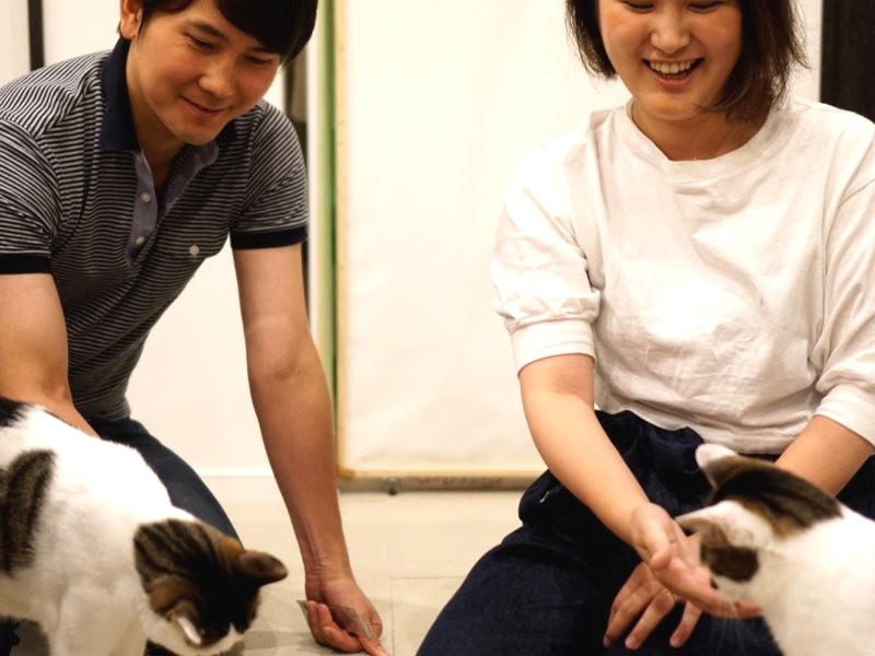 夫妻に甘える兄弟猫「おやつ、おやつ」