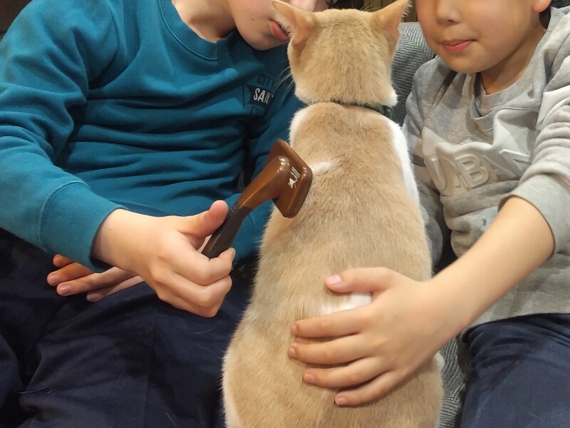 そうごくんはごはん係やトイレの掃除係、ゆうごくんは歯磨き係（N家提供）