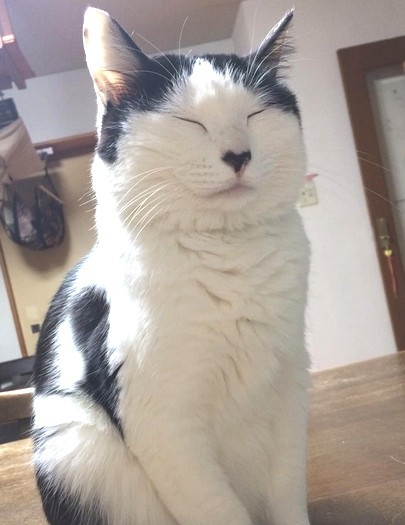 座ったまま寝落ち