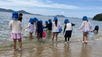ヒラメの稚魚を放流