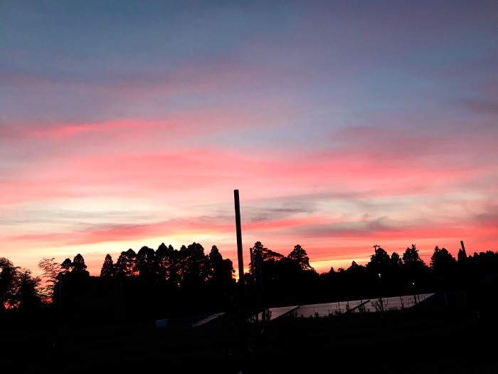 夕日が色濃くなってきました