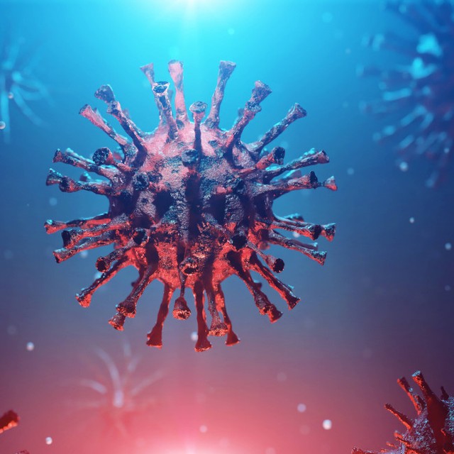 古代の細菌防御システム、現代のウィルスと戦う一助に！？