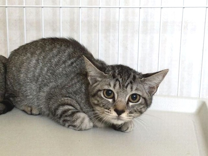 今もあどけない表情をみせる