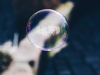 怖いと言ったひいおばあちゃんの手を、私は離した