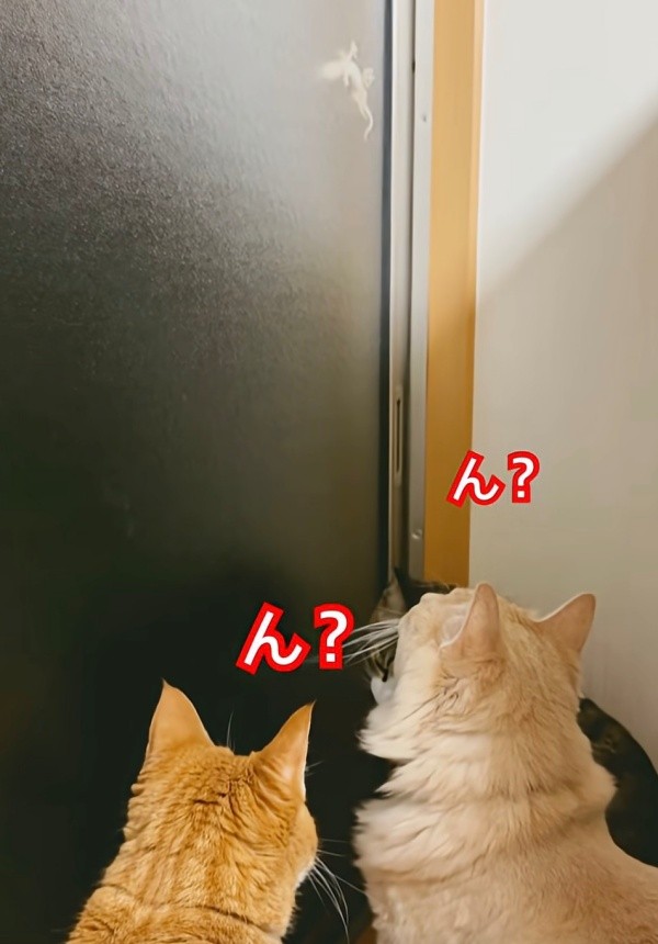 nekko1127@猫飼ってます 　379 250331 ミーコちゃん 猫 - 【公式】ぬいぐるみのオーダーメイド