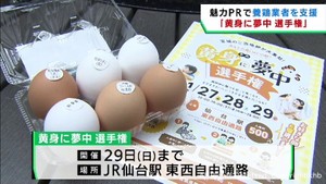 「黄身に夢中選手権」　養鶏業者支援　宮城県のブランド卵をＰＲ　