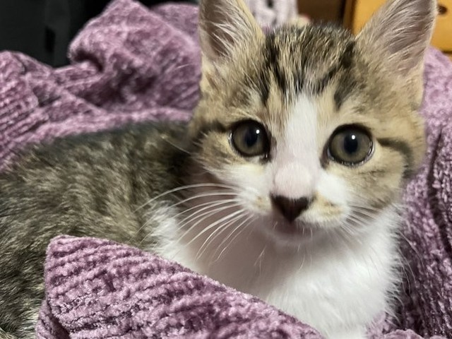 治療中でも元気なスイちゃんの姿に救われた
