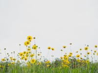 拝啓、私をいじめた人へ、ありがとう。苦しみと痛みは耐え抜く強さに