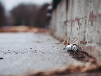 孤独を埋めるはずが孤独感がさらに強まった日。これは私のせい？