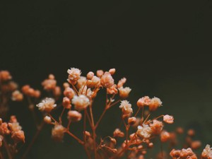 自分らしい格好をすれば、女も男も関係なく「私」になればいいな