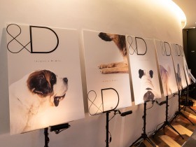 メニコンが犬の飼い主向けサブスクサービスを開始　もしもの場合の引き取り飼養も