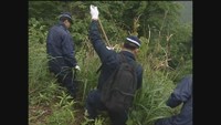 過去の捜索の様子