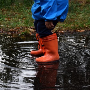 ライフスタイル世論調査あなたは雨の日用の靴を持っていますか？