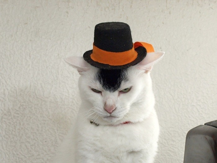 松田優作を気取ってみた（提供写真）