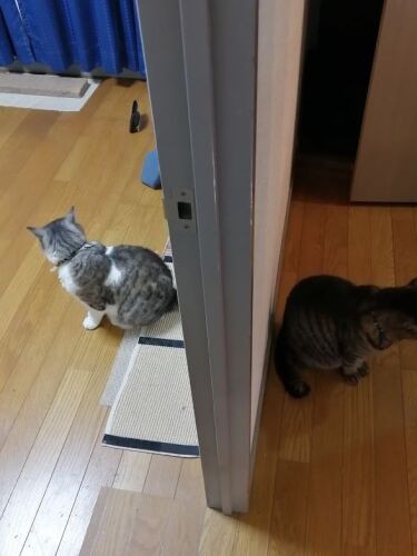 あっ、背中合わせ？（信之さん提供）