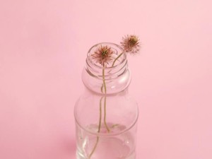 「あーちゃんは赤が似合うね」広がり続ける可愛いピンクと私との距離