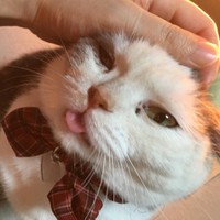 舌ペロが可愛い