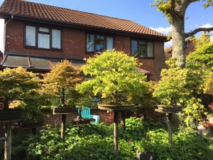 借地権相続の流れを解説　売却の注意点は地主の承諾