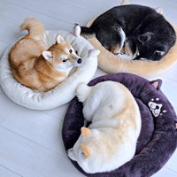 別の日の選択はこちら（手前から時計回りに）自分の毛色と違う色のクッションで眠る（左から）白柴「安豆」ちゃん、赤柴「ずんだ」ちゃん、黒柴「小豆」ちゃん（画像提供：黒柴小豆と白柴安豆と赤柴ずんだはタヌキさん）