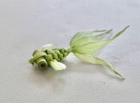 Instagramを参考に作ったというトウモロコシの魚／inoriさん（@kusabanaasobi）提供