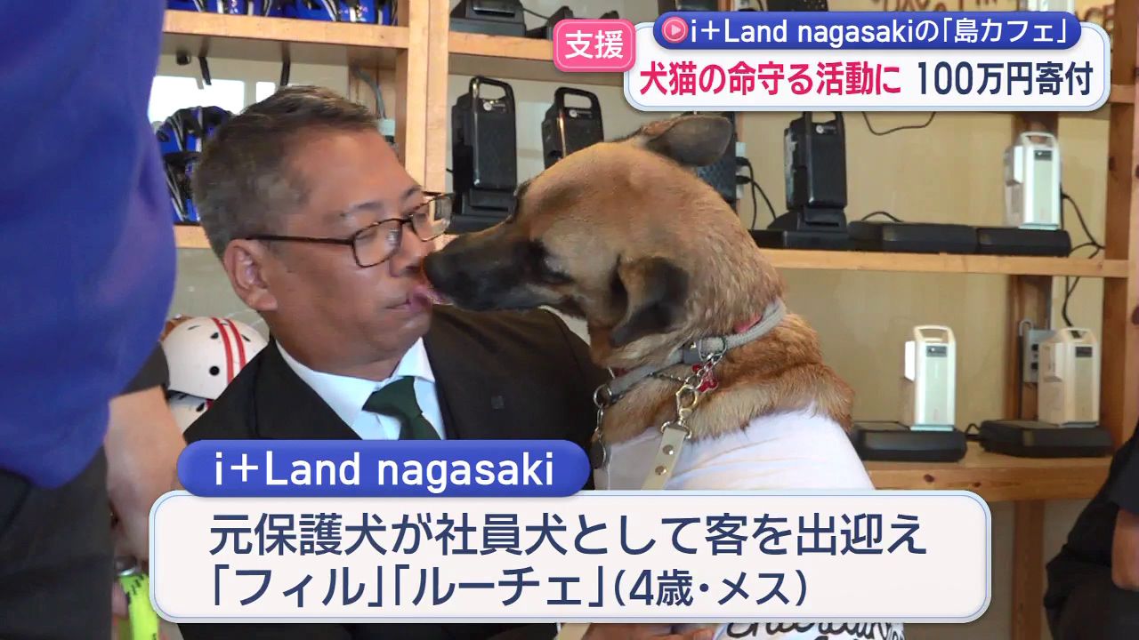 i＋Land nagasakiの｢島カフェ｣が犬や猫の命守る活動に100万円寄付 | 長崎ニュース | NCC長崎文化放送