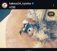 竹内涼真のインスタグラム＠takeuchi_ryomaから